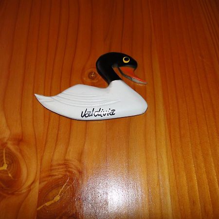 Apartmán Cabanas Cisne Cuello Negro Valdivia Exteriér fotografie